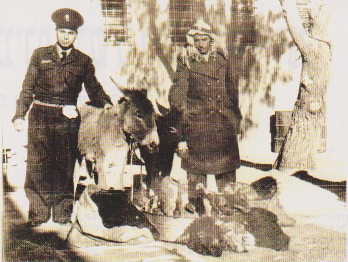 משטרת באר שבע נלחמת בשוק השחור: תפיסת בשר מוברח, שוטרל צד גשש בדואי (צילום: מתוך ארכיונו של אריה רפפורט ז''ל)